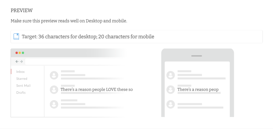 This is an image showing the Subject Line Tester by Send Check It email preview